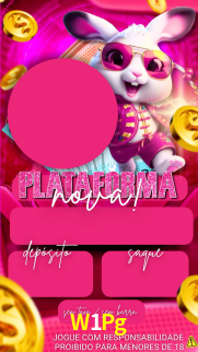 Premium Interface W1Pg